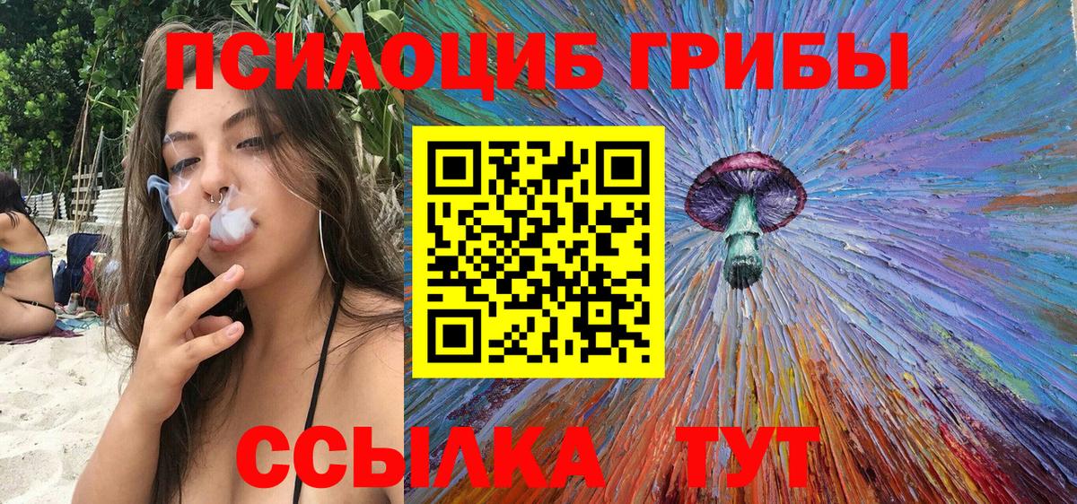Галлюциногенные грибы Cubensis  Вход с VPN  Советск 
